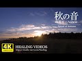 【癒し・4K風景映像／実写と自然音】秋の音（生石山）／高原に広がるススキとコオロギが秋を感じさせてくれます。