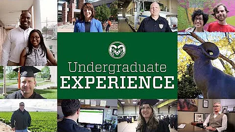 CSU Online Bachelor's Student Experience