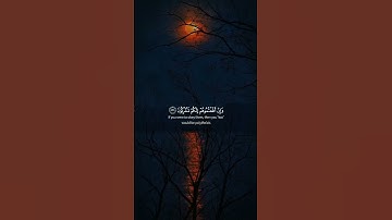 {وَذَرُواْ ظَٰهِرَ ٱلْإِثْمِ وَبَاطِنَهُۥٓ ۚ } سورة الانعام