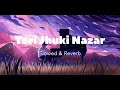 Teri jhuki nazar  slowed  reverb   murder 3