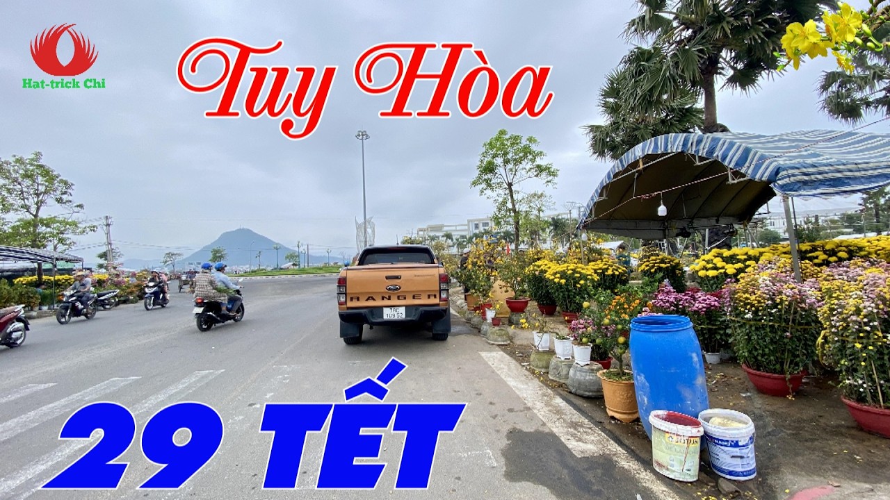 ĐƯỜNG PHỐ TUY HÒA NGÀY GIAO THỪA 29 TẾT | XUÂN BÍNH NGỌ 2026