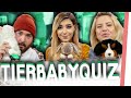 TIERBABY QUIZ! Die NIEDLICHSTE Challenge ALLER ZEITEN