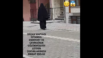 Organ Mafyası 