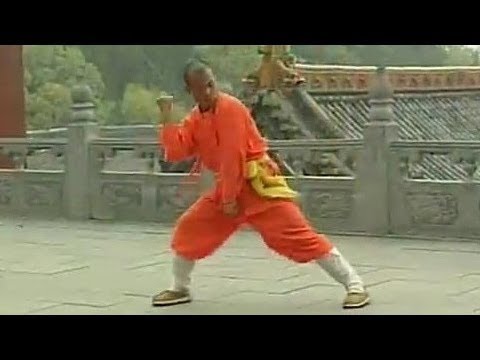 Shaolin big power kung fu (pao quan) B