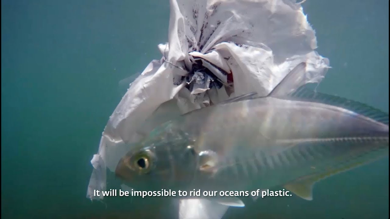 FOUNDATION - Marine Litter Film