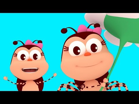 Маленький паук - детские песни | Детское Королевство
