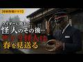 【昭和風オリジナル特撮ドラマ】サソリ怪人は春を見送る
