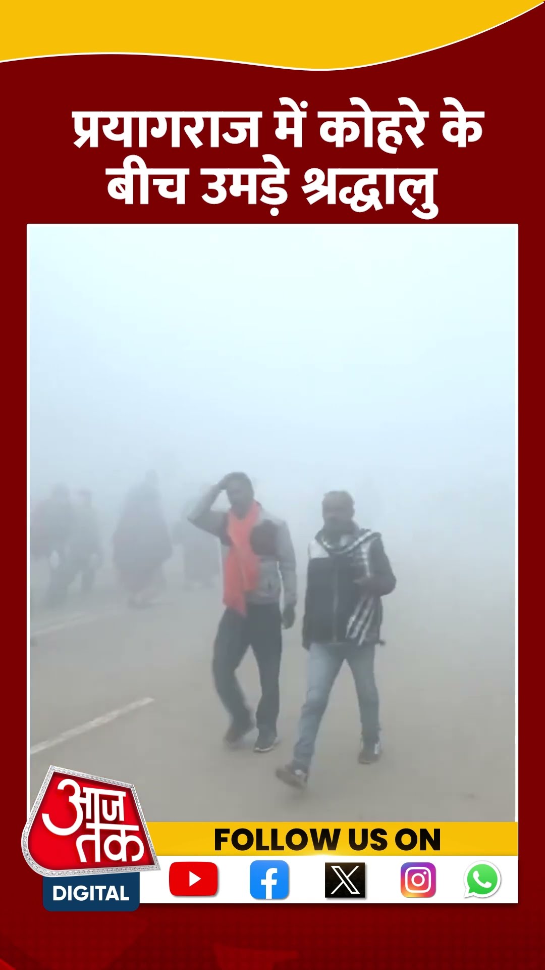 Mahakumbh 2025: Prayagraj में सुबह-सुबह छाया घना कोहरा | #shorts #shortvideo
