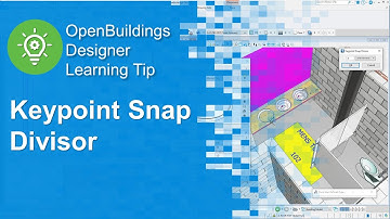Using the Keypoint Snap Divisor