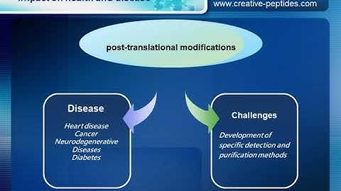 Post translational Modification Creative Peptides