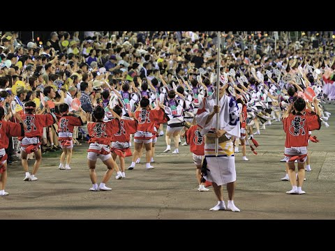 娯茶平 三味線の姉さん来ます 阿波おどり 南内町演舞場 #Awaodori