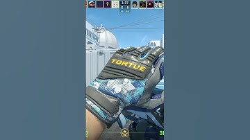 No trigger discipline