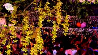 Tomorrowland 2013 - Cazzette