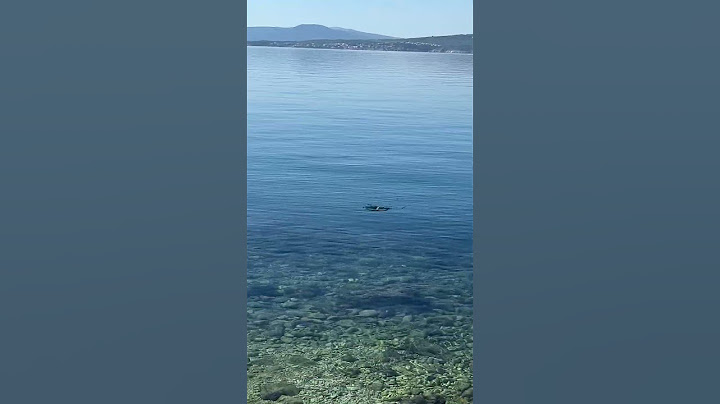 Nema kupanja ovog ljeta 😱😱😱