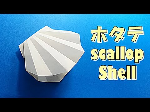 折り紙 簡単 貝 ホタテ貝 の折り方 Origami Easy Origami Shell Shellfish Step By Step For Kids Tutorial Youtube