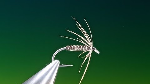 Fly Tying a Spider hackle technique with Barry Ord Clarke