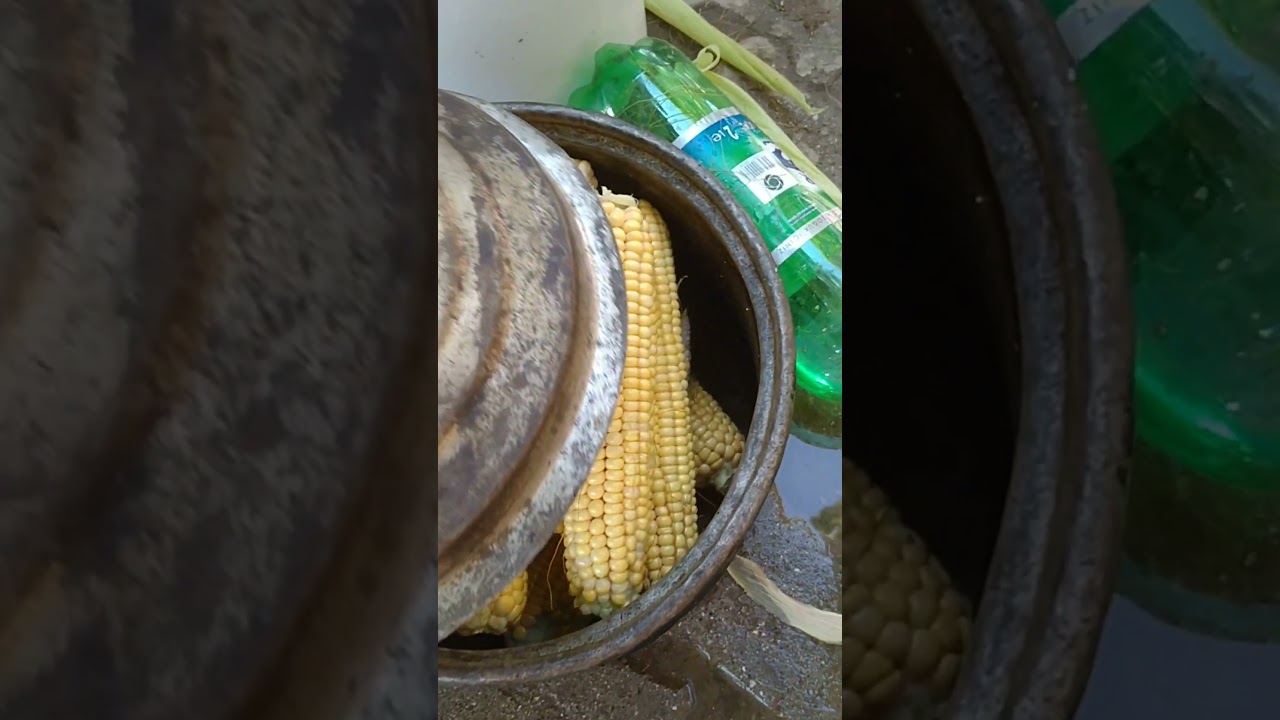 Darı & mısır ???? #köydeyaşam #rurallifetr #food #köy #yemek #naturallife #yemektarifleri #koyhayati