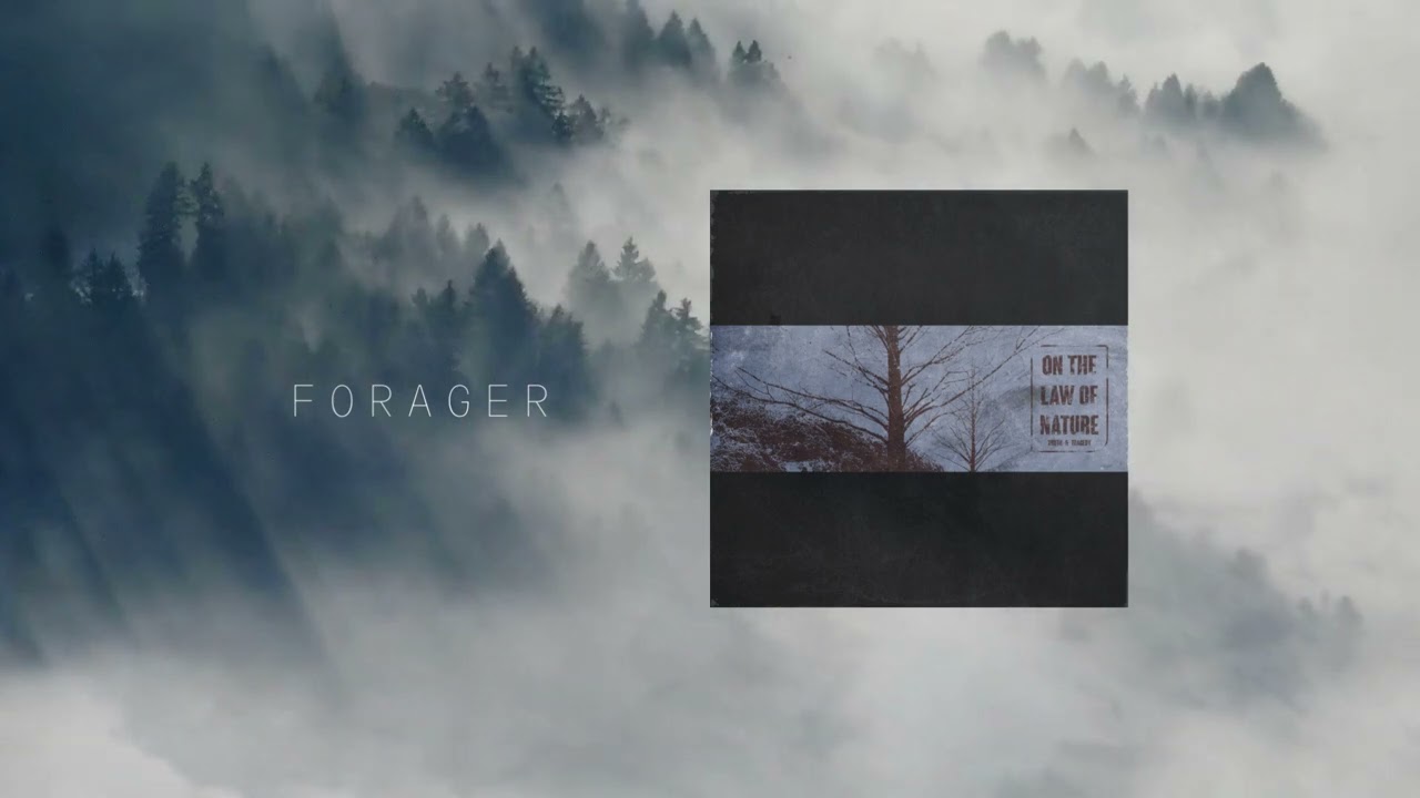 Truth & Tragedy - Forager