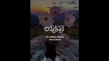 سورة الإخلاص | القارئ رعد الكردي
