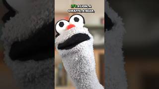 Stuff My Trump Says! SQUIRREL! #funny #comedy #podcast #puppet #politics #politicalhumor