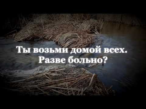 Часть 60 Письма из Ниоткуда