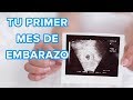 Tu primer mes de embarazo | Así crece tu bebé, así cambia tu cuerpo 🤰