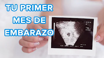 ¿Cómo debo cuidar mi primer mes de embarazo?