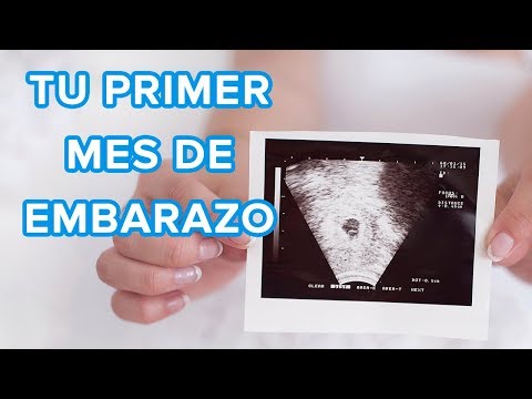 Vídeo: Com Prevenir El Seu Primer Embaràs