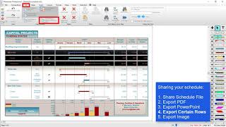 Share Your Schedule - Milestones Professional Tutorial