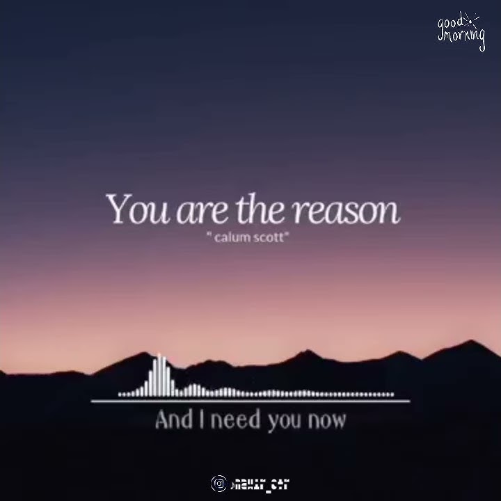 ♪ You Are The Reason - Calum Scott (Lyric)