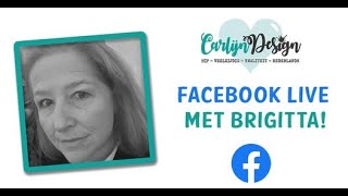 Facebook Live For Carlijn Design (dutch spoken): Crafty Planner