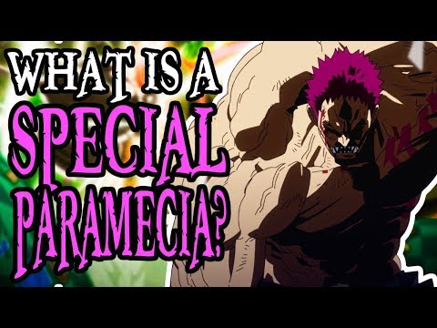 What is a Special Paramecia? | One Piece Discussion