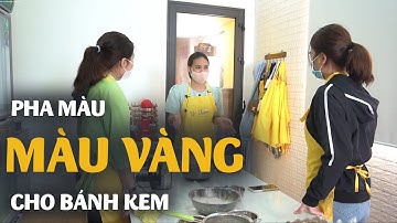 Bài 3.3: Hướng dẫn kỹ thuật pha màu vàng cho bánh kem