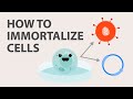 Cell Immortalization: How to Immortalize Cells