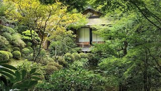 Japanese Gardens Around the World #3