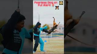 The Most Aggressive Dog Ever Caught on Camera! 😳🐶 #shorts #dog #viral
