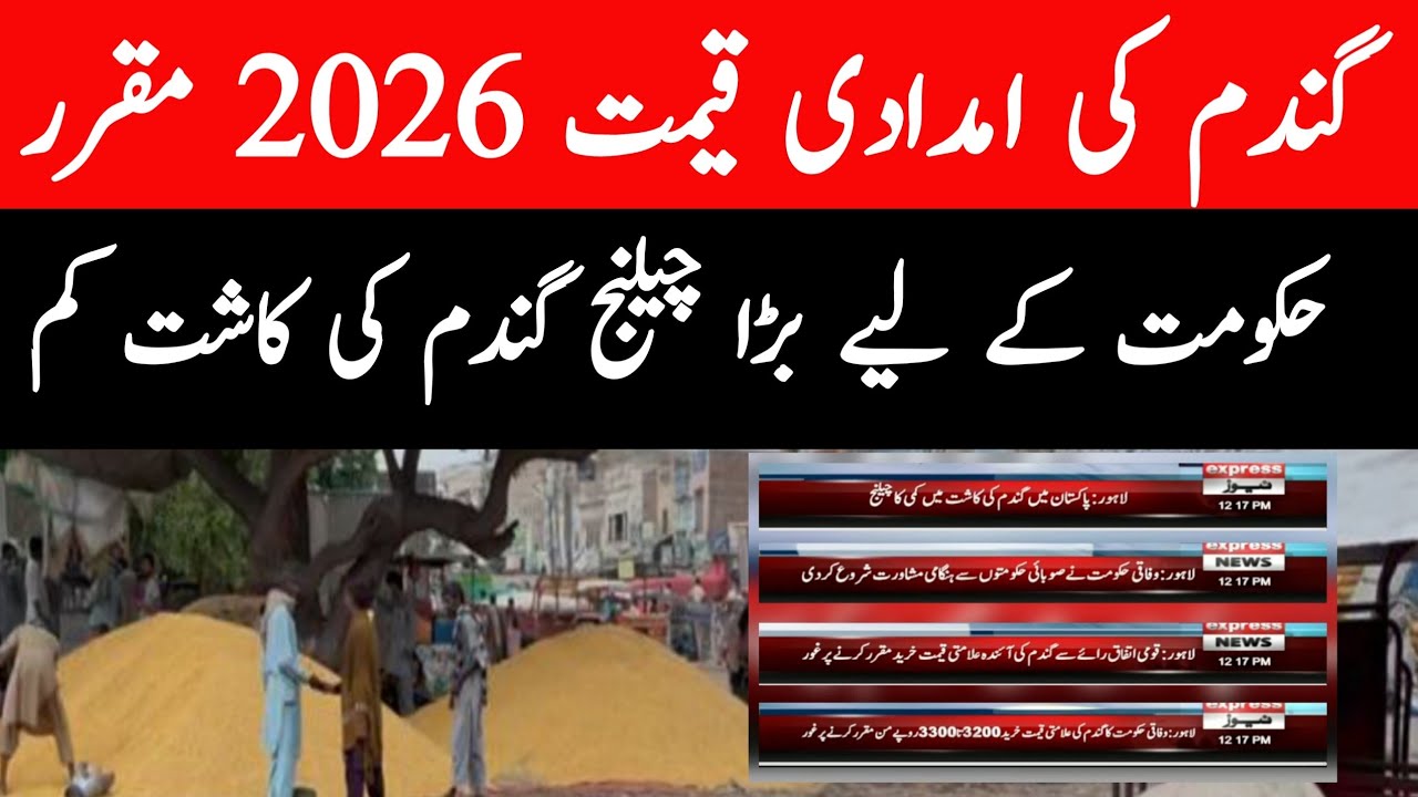 Gandam Ki Amdadi Qemat Ka Ilan | Government Wheat Price 2026 | Government Gandam Rate 2026