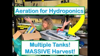 Optimize Aeration for Hydroponics Success