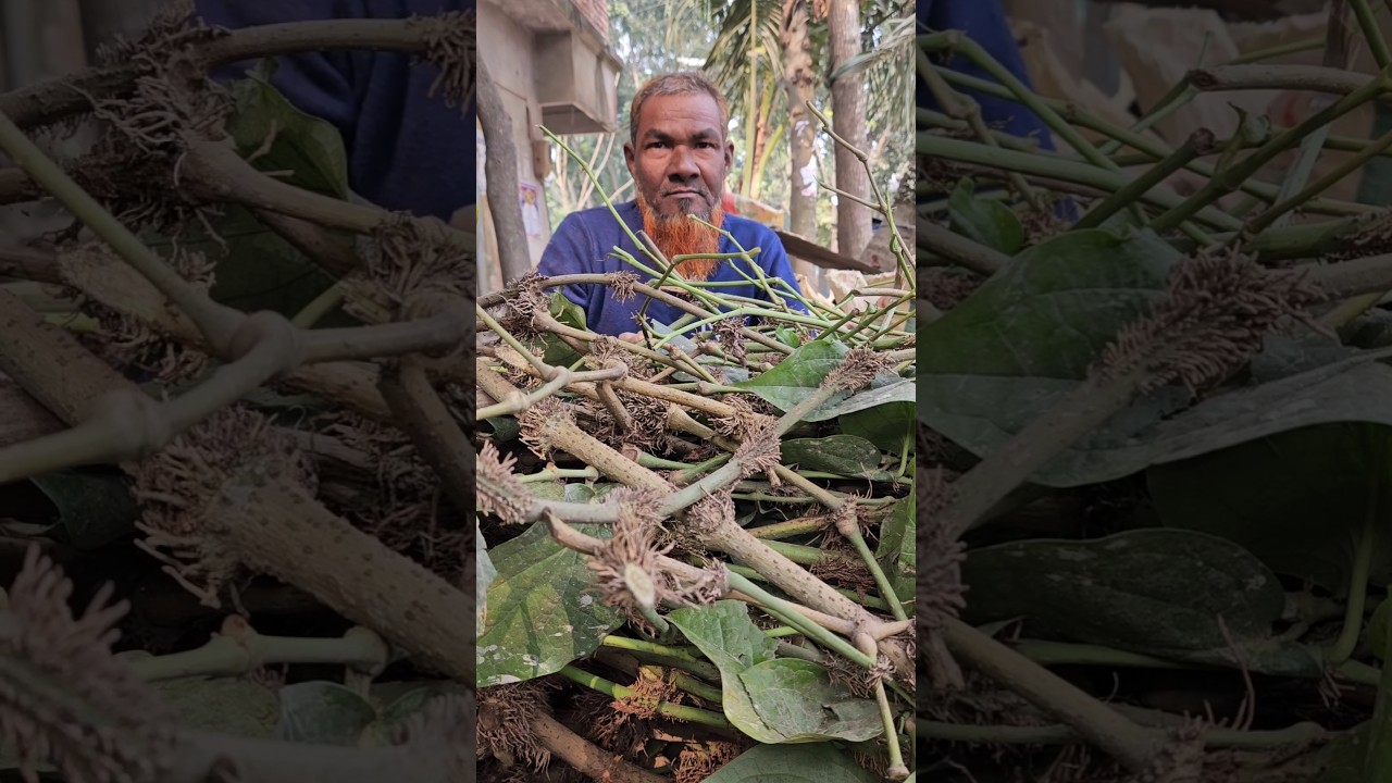 চুই🌶️ বিক্রির চিন্তা শেষ কাকা কিনে নিবে সব😳 #shorts #short #shortsfeed