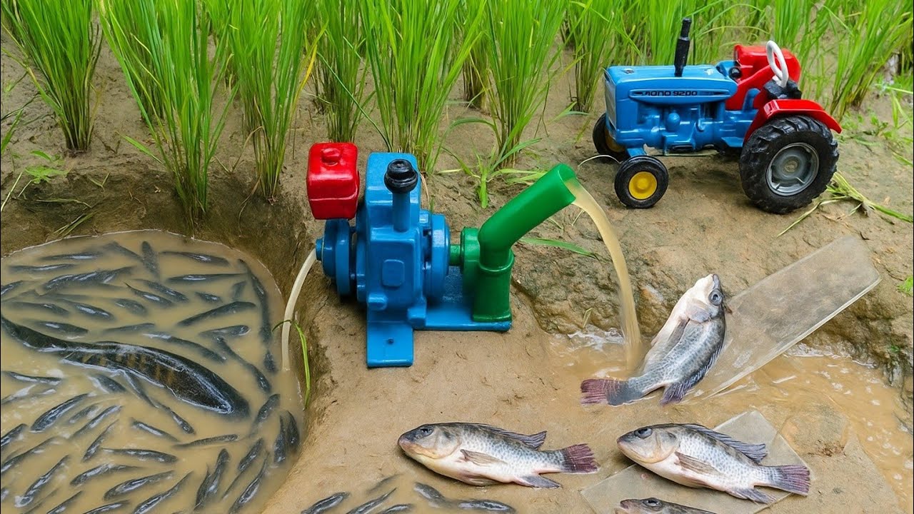catch fish using mini diesel engine water pump for fish | fishing exciting | diy tractor