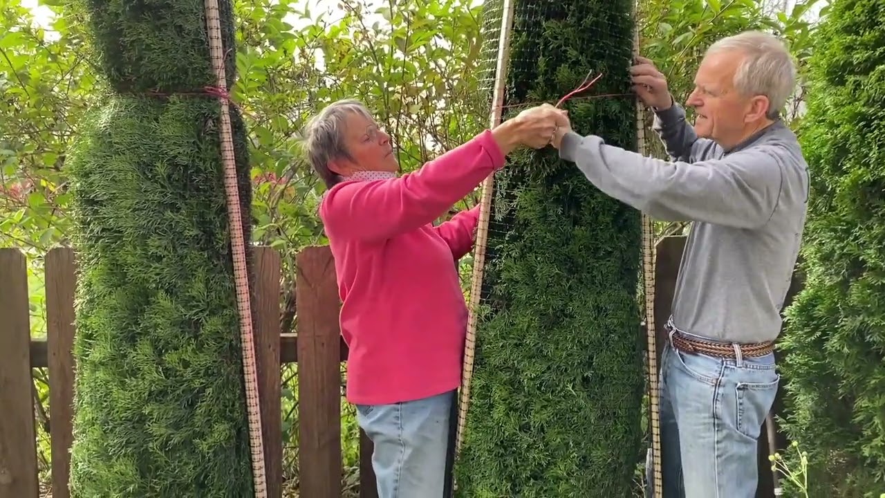 Complete Arborvitae wrap system