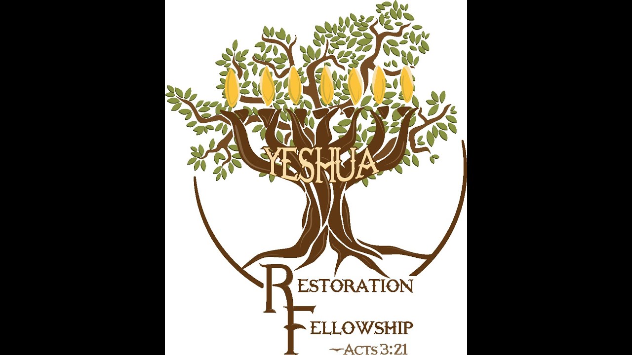 7 13 24 Isaiah 61 Luke 4 What Is The Year Of The Lords Favor 7 13 24 isaiah 61 luke 4 what is the year of the lords favor