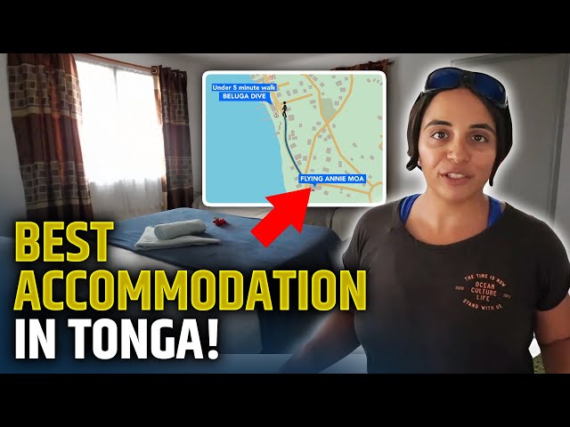 Flyine Annie Moa - Vava'u, Tonga - Best Accommodation in Tonga!