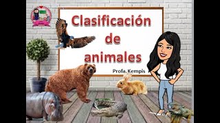 Classification of animals: color, skin, domestic and wild