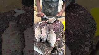 Amazing😱😱😱 Learn thilapia fish cutting technique #trending #viralvideo