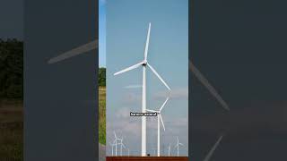 ac generator work#study point