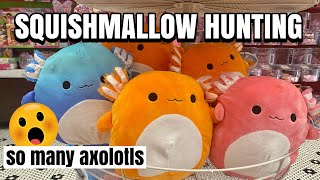 SQUISHMALLOW HUNTING at SLOAN’S! Tons of brand new axolotls & Halloween squish