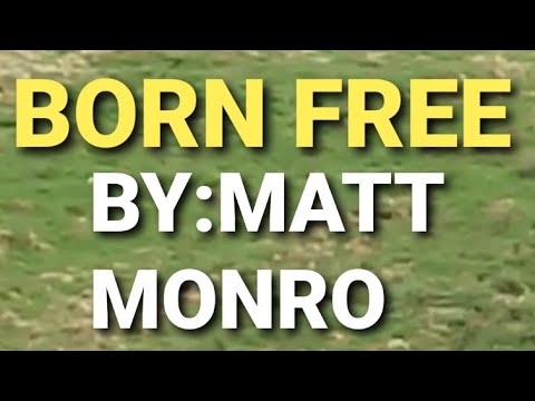 BORN FREE WITH THE MONKEYS
