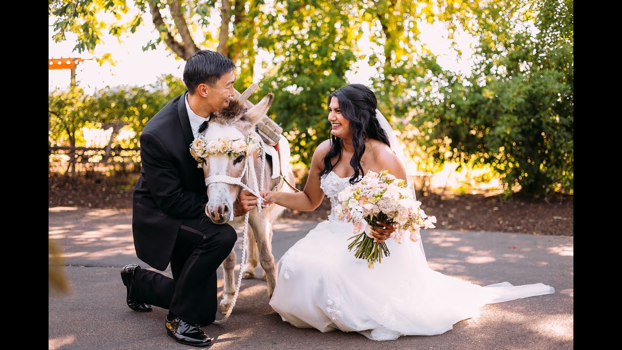 Priya & Nate's Romantic Water Oasis Wedding Video | Portland Oregon Wedding Videographer