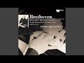 Miniature de la vidéo de la chanson Piano Sonata No. 26 In E-Flat Major, Op. 81A "Les Adieux": Iii. Das Wiedersehn. Vivacissimamente - Poco Andante - Tempo I "Le Retour"